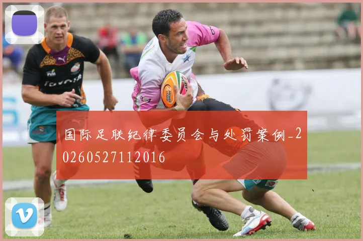 国际足联纪律委员会与处罚案例_20260527112016