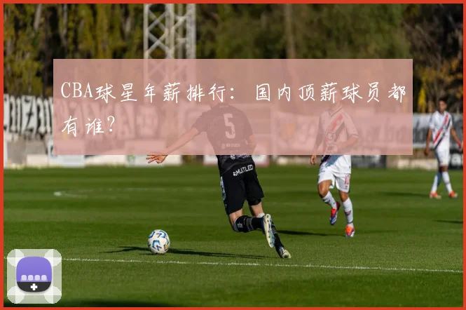 CBA球星年薪排行：国内顶薪球员都有谁？